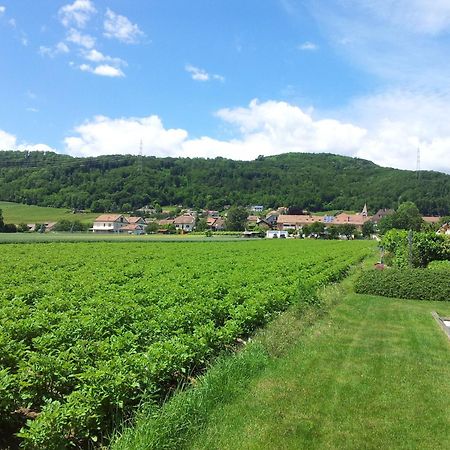 Au Coeur Du Vignoble Sur Bursins Bed & Breakfast Exterior photo
