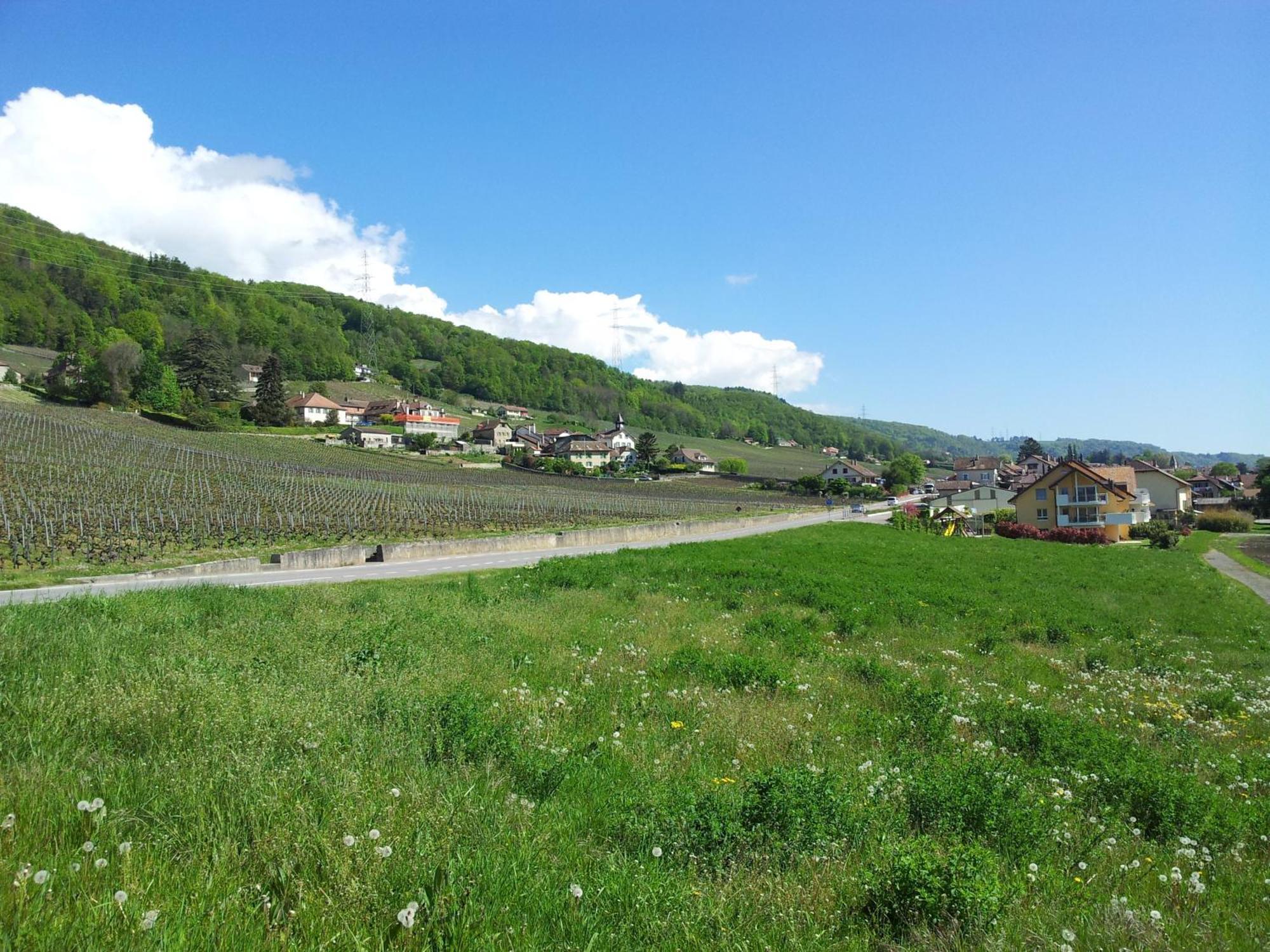 Au Coeur Du Vignoble Sur Bursins Bed & Breakfast Exterior photo